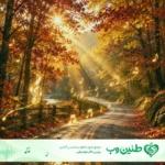 دانلود آهنگ قدیمی ایرانی قلب من عاشقه بیا هنوز دیر نیست nawa band دانلود آهنگ قدیمی ایرانی قلب من عاشقه بیا هنوز دیر نیست nawa band