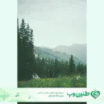 دانلود آهنگ زانتیا ماشینمه باروم نمیروف میلاد جام ریمیکس اینستا