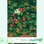 دانلود آهنگ من یه دهه هفتادیم یه روزگاره سر دارم پیانیک شادمهر ریمیکس دانلود آهنگ من یه دهه هفتادیم یه روزگاره سر دارم پیانیک شادمهر ریمیکس